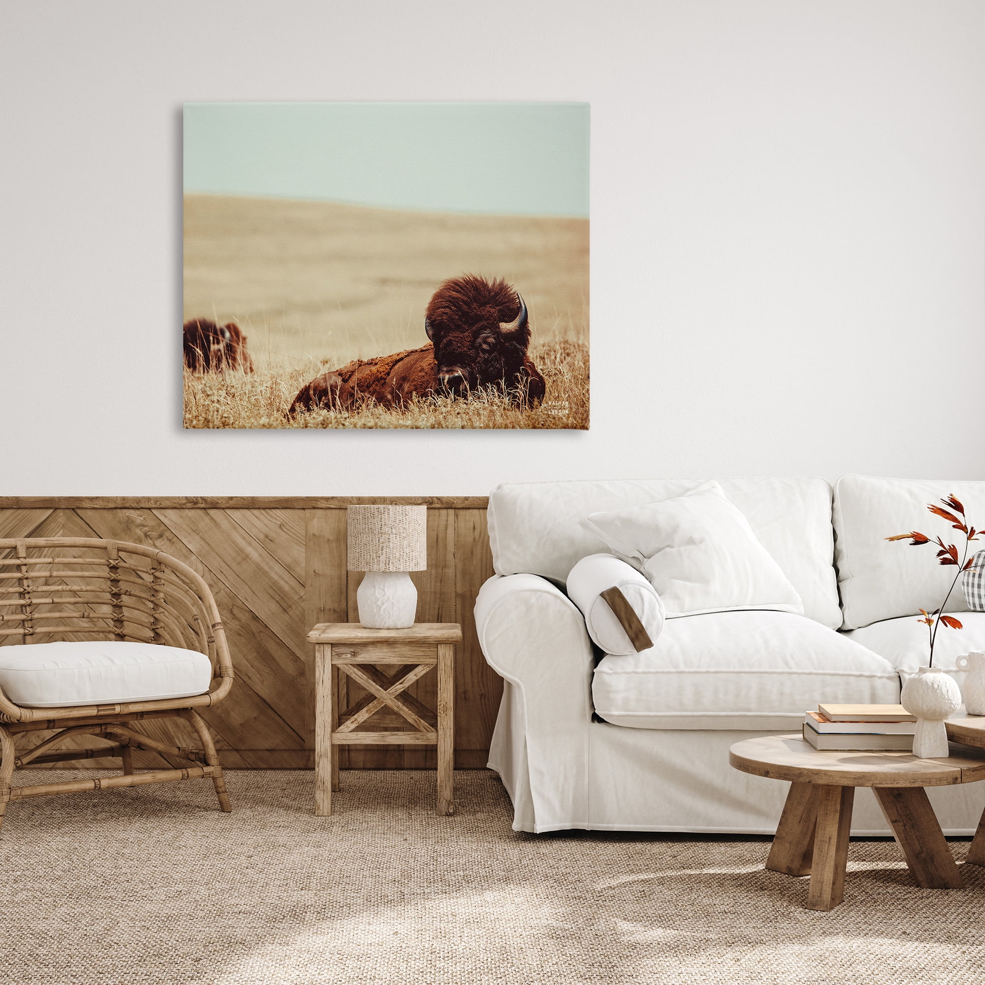 Stupell Industries Bison Relaxing in Field Animals & Insects Photography Gallery Wrapped Canvas Art Print Wall Art, 48 x 36