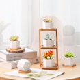 thumbnail image 3 of 2.5 Inch Mini White Succulent Planter Pots with Bamboo Tray Round Set of 6, Tiny Ceramic Succulent Air Plant Flower Pots Cactus Faux Plants Containers, Gifts for Plant Lover, Home and Office Decor, 3 of 5