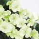 thumbnail image 5 of Vid de flores artificiales para colgar en la pared, decoración floral, vid violeta artificial, decoración para el hogar, hotel, verde Scienceny HA6541-05B, 5 of 6