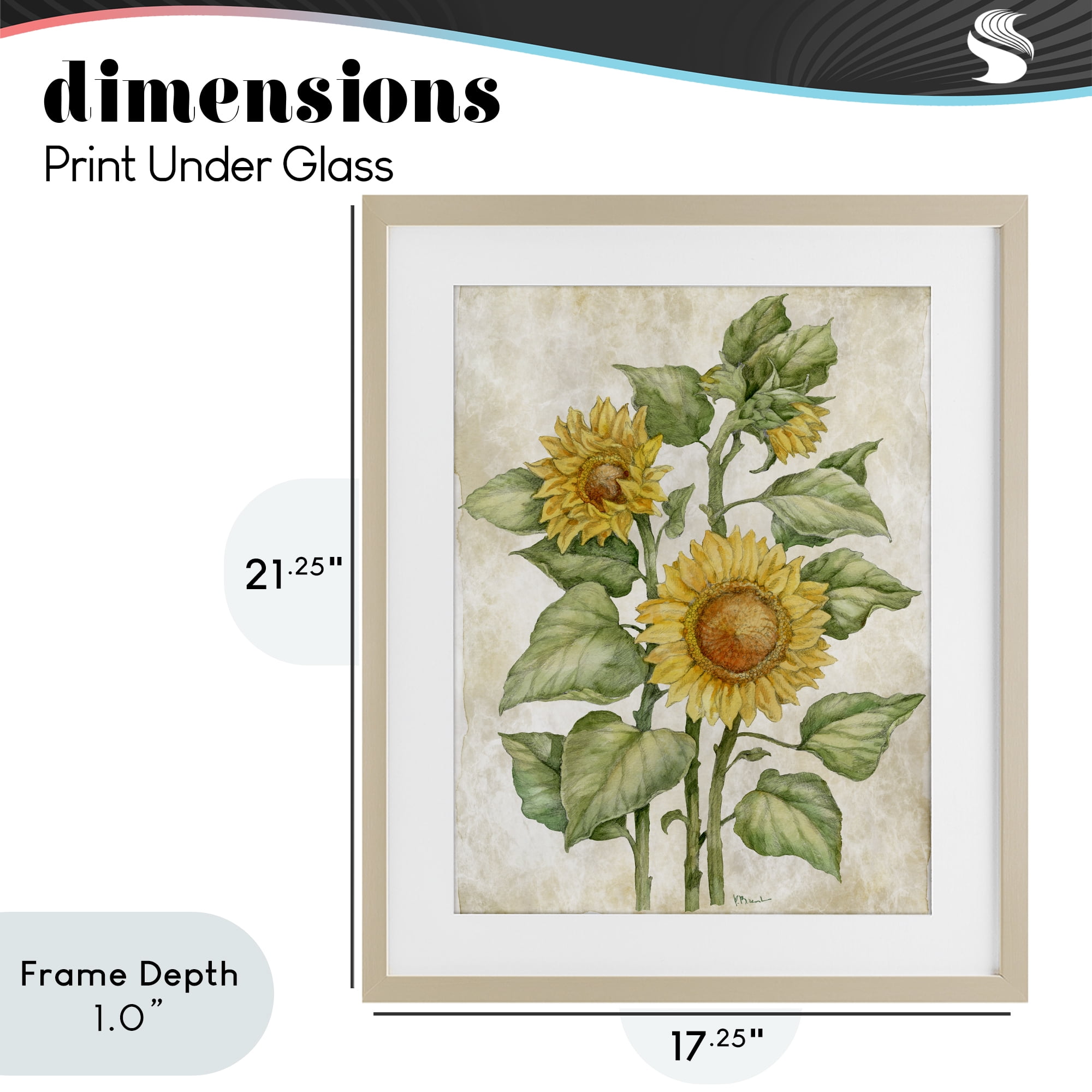 Stupell Industries Floral Journal Sunflower Birch Framed Print Under Glass, design by Paul Brent