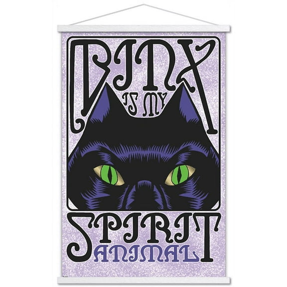 Disney Hocus Pocus - Binx Wall Poster with Magnetic Frame, 22.375" x 34"