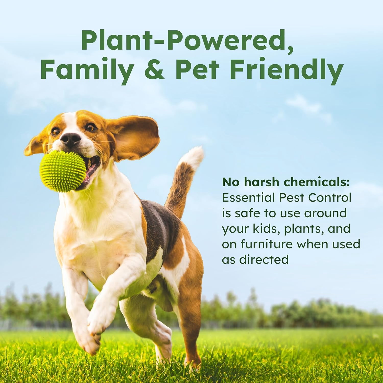 BugMD Pest Control Essential Oil Concentrate 4 oz (10 Units)