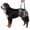 Blue, variant on Amztom Dog Lift Harness, Adjustable Rear Support Sling for Mobility Assistance, Post-Surgery Recovery Aid with Handle & D-Ring for Medium to Large Dogs,Orange,L