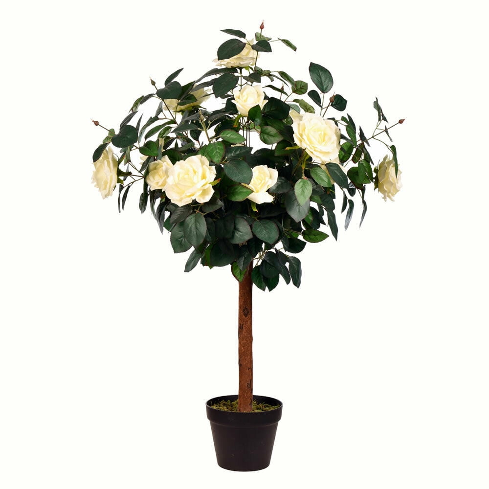 3 Potted White Rose Tree x14 Flowers