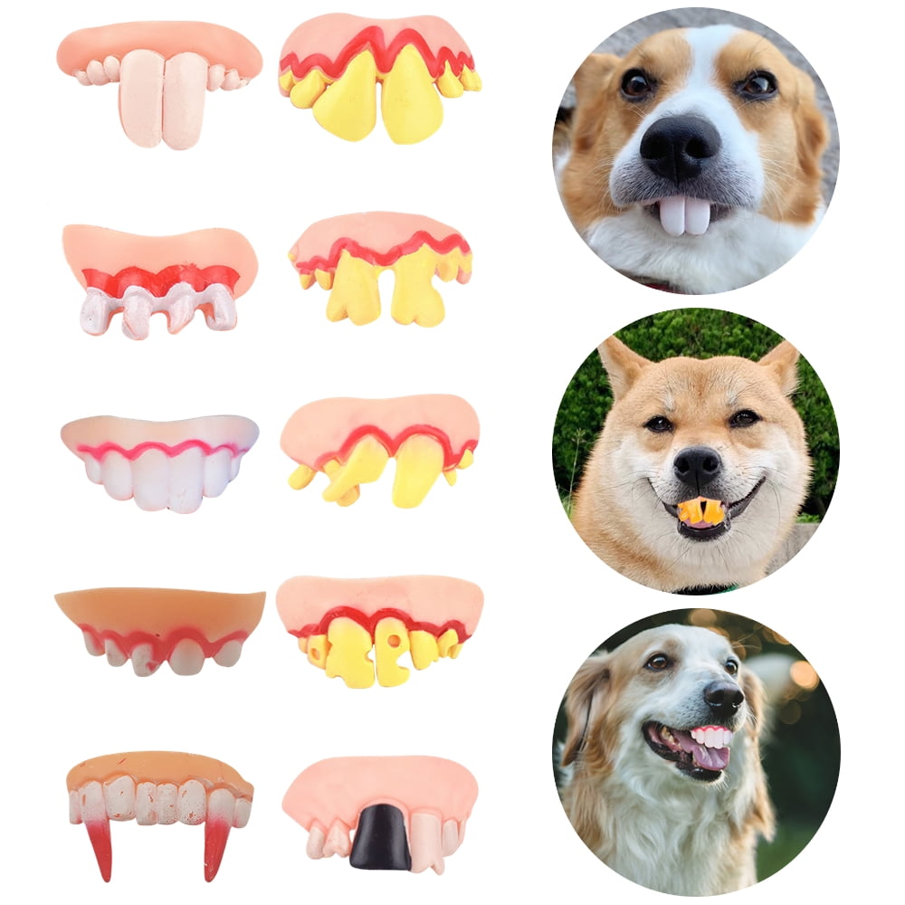 10 Pieces Gnarly Teeth Gag Teeth Ugly Dog Fake Teeth Vampire Denture
