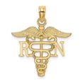 thumbnail image 1 of FB Jewels 14K Yellow Gold Registered Nurse RN Caduceus Pendant, 1 of 4