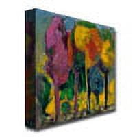 Trademark Fine Art "Puesta de sol" Canvas Art by Boyer