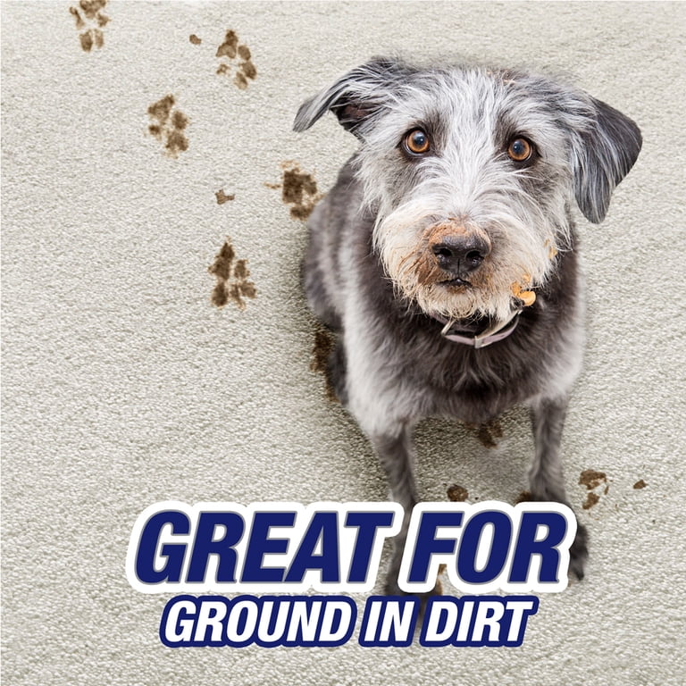 Resolve Pet Expert High Traffic Carpet Foam, Dual Pack photo 4