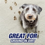 Resolve Pet Expert High Traffic, Carpet Foam, 22 Oz (Pack of 2)