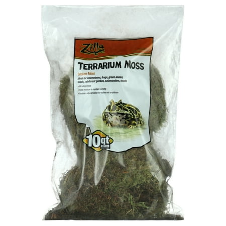 Zilla Beaked Moss for Reptiles
