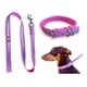 thumbnail image 5 of Juego De Collar Ajustable Y Correa Reflejante Para Perro Med, 5 of 6