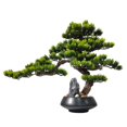 thumbnail image 1 of Árbol de bonsái artificial con maceta realista de madera y cerámica, plantas falsas for la oficina del dormitorio en casa, 1 of 6