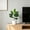 Green Size C A5, variant on Qonioi Artificial Tree Tall Potted, Realistic Wooden Trunk Floor Decoration for Living Room Modern Style, Lifelike Plastic for Indoor Corner Decor, Green