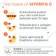 thumbnail image 2 of Limpiador facial con vitamina C de Face Wash Botanic Tree para toda la piel, 2 of 9