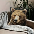 thumbnail image 5 of Coollooc Funny Donkey Decorative Throw Pillow Covers, 18x18 Inch Animal Embroidery Square Pillowcase for Living Room, Bed Decor, Patio, Car, Donkeys Country Sofa Cushion Cases(Bear), 5 of 7