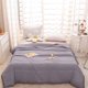 thumbnail image 1 of Edredón ligero de algodón lavado para verano – Manta transpirable con aire acondicionado para dormitorios de estudiantes, primavera u otoño – Ropa de cama suave, que no se apelmaza y lavable a máqu, 1 of 6