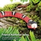 thumbnail image 2 of Juguete de Serpiente de DeteccióN Inteligente, Juguetes Interactivos para Gatos Juguete de Serpiente EléCtrico de SimulacióN Realista Recargable por USB, 2 of 5