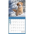 thumbnail image 3 of Turner Licensing, Golden Retrievers 2023 Wall Calendar, 3 of 3