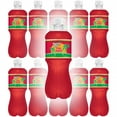 thumbnail image 5 of Tahitian Treat Fruit Punch Soda 20oz Bottles, Quantity of 16, 5 of 9
