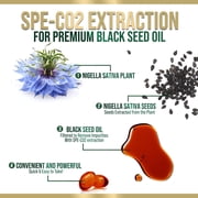 Black Cumin Seed Oil Capsules 1000mg - Premium Nigella Sativa Blackseed, Pure Natural Black Seed Oil & Antioxidant for Skin & Immune Support - Gluten Free, Bottled in USA Supplement - 120 Softgels