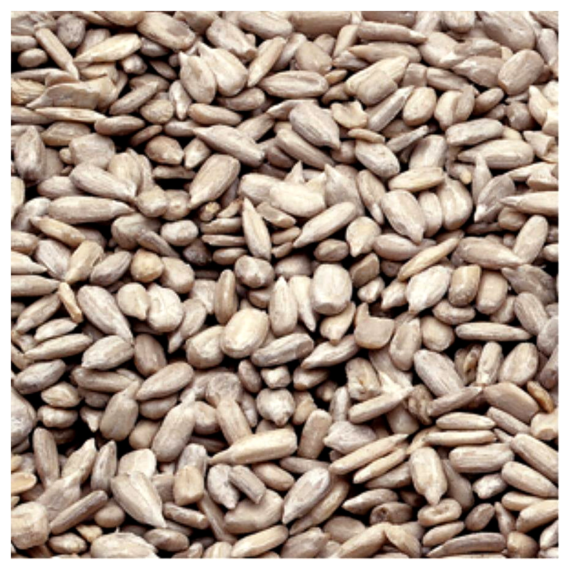Azar Sunflower Seed Salted Kernels, 2.5lb, 6 Pack