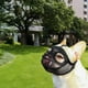 thumbnail image 5 of Bozal para perros Colco de malla de nailon M, 5 of 8