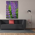thumbnail image 3 of Epic Graffiti 'Blue Violet Lupine Flower' by Cora Niele, Canvas Wall Art, 40"x60", 3 of 8