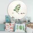 thumbnail image 2 of Designart 'Ancient Botanicals I' Farmhouse Circle Metal Wall Art 29x29 - Disc of 29, 2 of 5