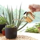 thumbnail image 2 of M Buder Regadera de Acero Inoxidable 500 ml Caño Largo para Plantas de Interior y Exterior, Herramienta de Jardinería Premium, Color Dorado (22x9x9 cm / 8.7x3.5x3.5 in) Excelente Calidad, 2 of 9