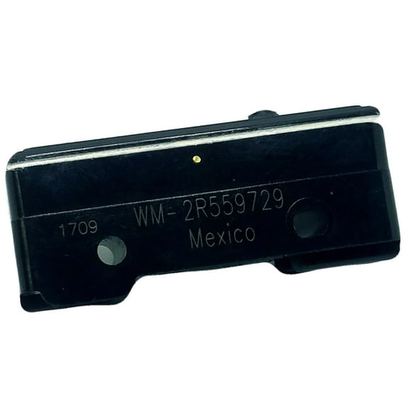 WM-2R559729 22A 250V BASIC SWITCH SWITCH