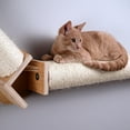 thumbnail image 6 of Armarkat Wall Series Wall Climbing Cat Post Bridge W2307, 6 of 8