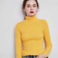 thumbnail image 1 of Suéter de mujer Otoño e Invierno Suéter de lana engrosado Cuello alto Jersey de barra de tiro Solapa corta Camisa de base de punto entallada, 1 of 6