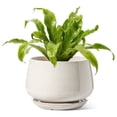 thumbnail image 6 of BEMAY 10 Inch Warm White Ceramic Plant Pot with Drainage Hole and Saucer, Textured Round Planter for Indoor Outdoor Plants, Flowers, Houseplants, 6 of 9