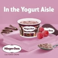 thumbnail image 3 of Haagen Dazs Yogurt Style Snack, Cultured Cream, Chocolate Raspberry, 4 oz Cup, 3 of 11