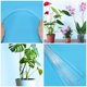 thumbnail image 3 of Nestingho 20Jgo Accesorio Para Plantas Soporte De En Acrílico Color Fácil Instalación Para Jardinería, 3 of 8