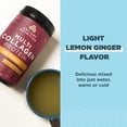 thumbnail image 4 of Proteína de colágeno en polvo Ancient Nutrition Gut Restore 250 ml, 4 of 8