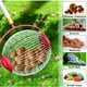thumbnail image 3 of Herramienta de recolección para jardín, nueva actualización, 2 modos, amplia variedad de variedades, recolector de nueces, eje telescópico ajustable para una fácil recolección y almacenamiento, diga, 3 of 5