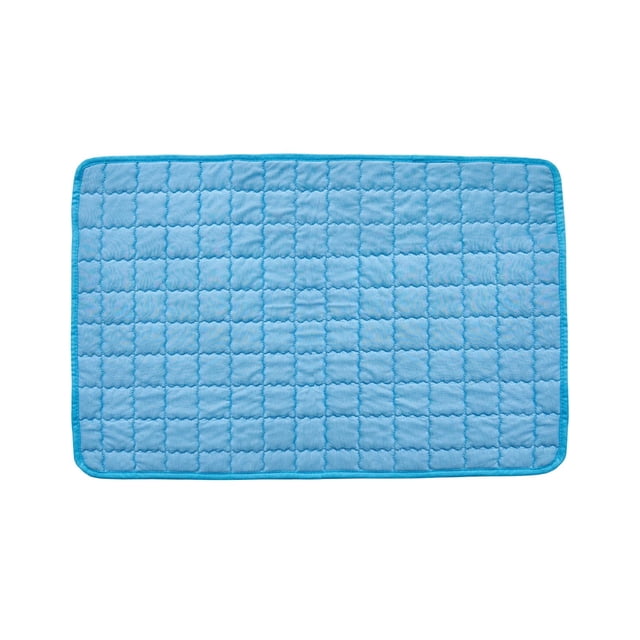 Pet Pads for Dogs and Cats Summer Ice Mat Scratch Indoor Use