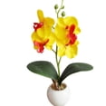 thumbnail image 2 of Surtido de orquídeas artificiales Yirtree, miniplantas en maceta con jardinera de madera, flores artificiales de orquídea Phalaenopsis en macetas para interior, oficina, escritorio, habitación,, 2 of 8