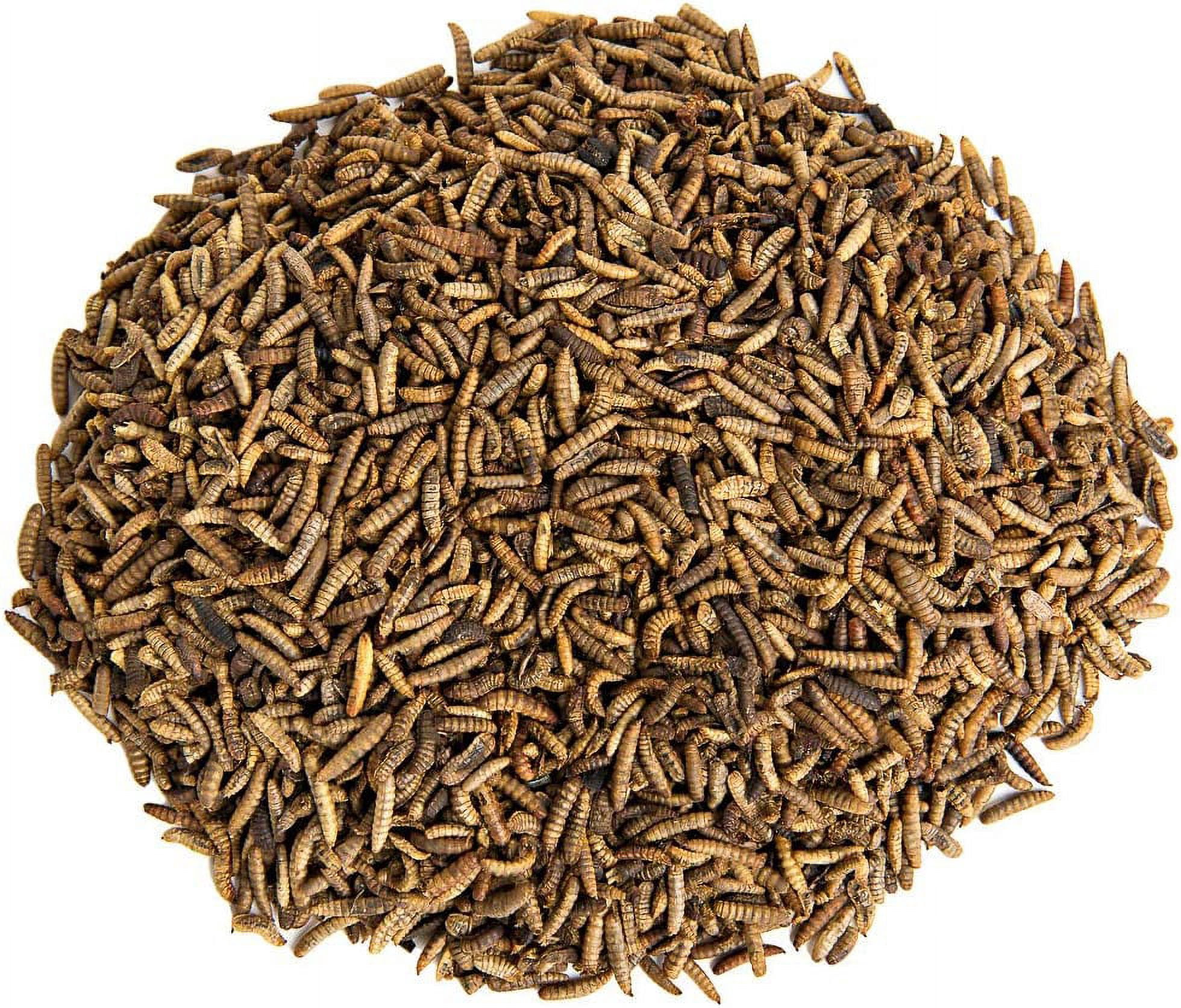 Small Pet Select Grub Bugs, Black Soldier Fly Larvae, Non-GMO, Locally Sourced Pnw, 2 lb