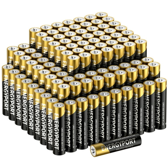 ENERGYPORT AAA Batteries 100 Count, Alkaline Triple A Batteries 1.5V Batteries Ultra Long Lasting Alkaline Battery, 10-Year Shelf Life