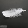 thumbnail image 2 of 450 piezas de plumas blancas YONGSHENG 3-5 pulgadas para manualidades, 2 of 5