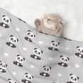 thumbnail image 2 of Sigee Panda Bear for Pet Blanket for Dog Cat Puppy Blanket Cat Blankets for Small and Medium Pets-Large, 2 of 8