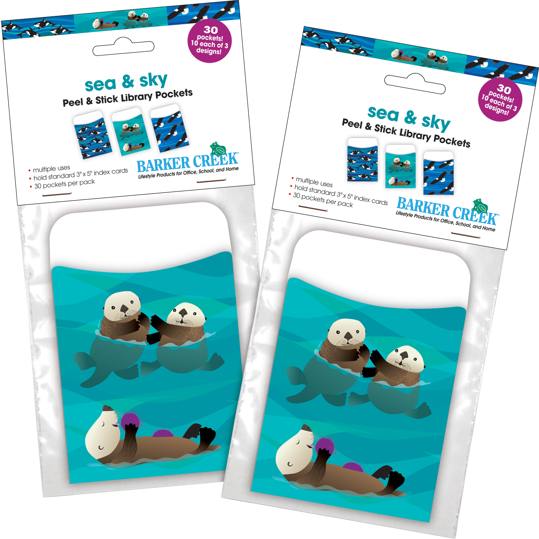 Barker Creek Sea & Sky Library Pocket Set (3 designs) - Set of 60