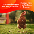 thumbnail image 5 of Happy Egg Co Free Range 12ct, 5 of 8
