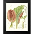 thumbnail image 2 of Curtis 15x18 Black Modern Framed Museum Art Print Titled - Tropical Variety VI, 2 of 5