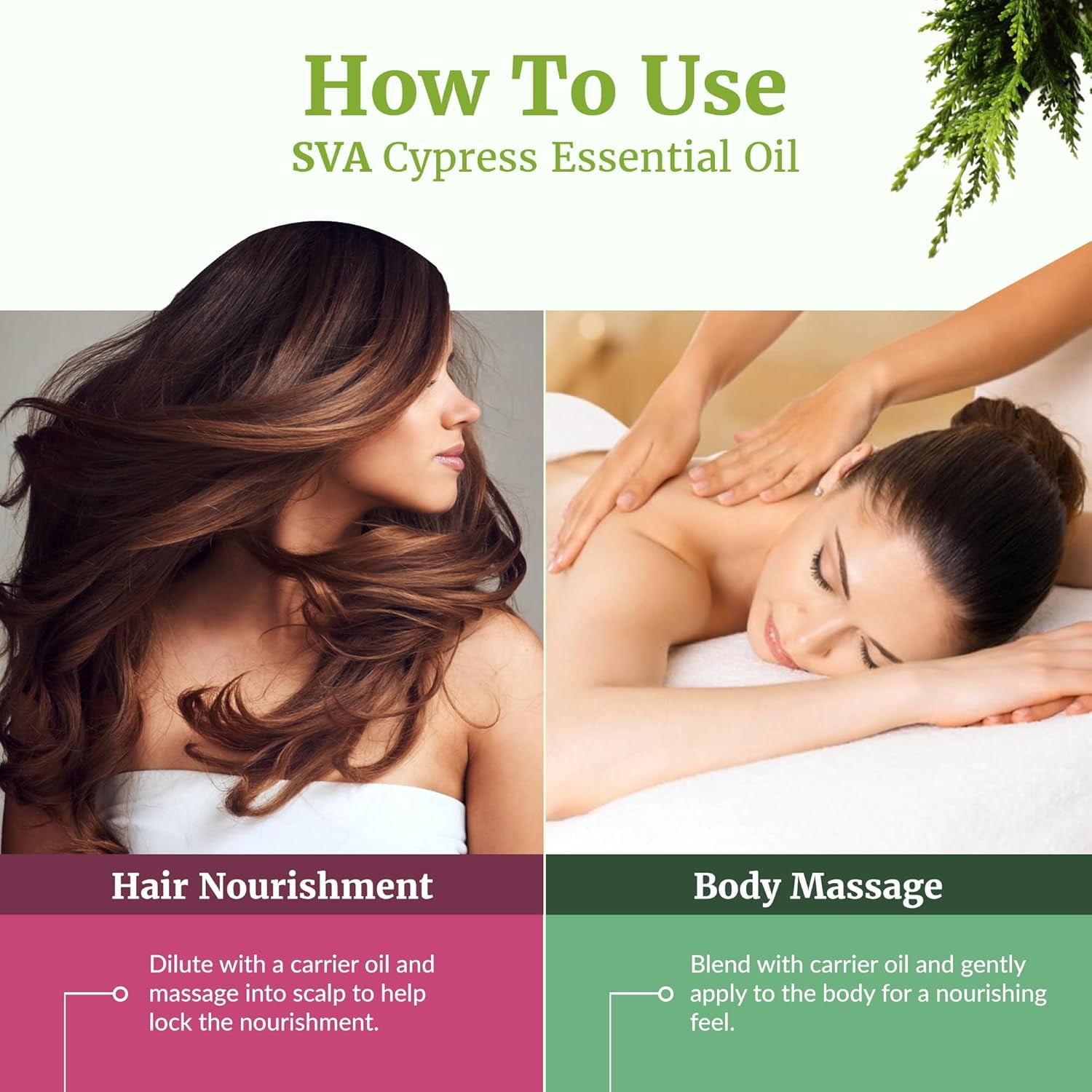 SVA Cypress Essential Oil – 4 Fl Oz – 100% Natural Cypress Oil - for Diffuser, Hair Care, Face, Skin Care, Aromatherapy, Scalp and Body Massage, Soap and Candle Making – with Dropper