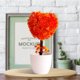 thumbnail image 4 of Gwong Decoración hogareña Flower Flower Plant Forma de corazón Forma de plum Flor de plástico Patio Patio Simulado maceta para estantes Soporte Gwong 21061513, 4 of 6