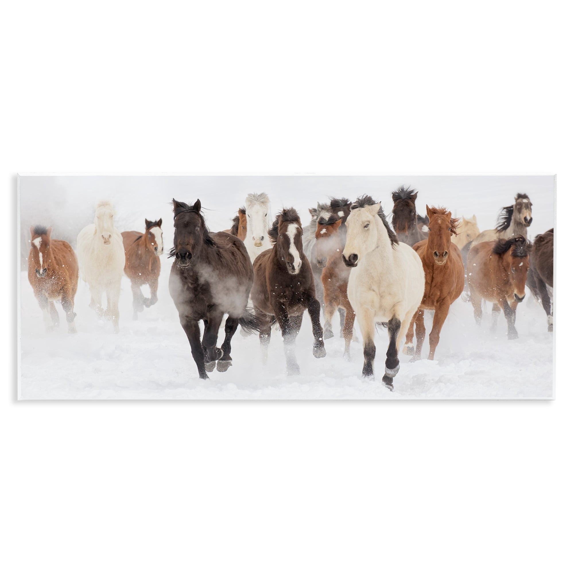 Stupell Industries Wild Horses Herd Foggy Winter Day Running Snow Painting , 17 x 7, Design by Danita Delimont
