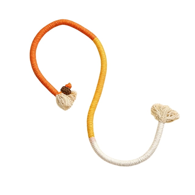 SIfdSeng Interactive Cat with Rope for Biting and Play Interactive Cat Teaser for Indoor Cats